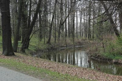 zdjęcie parku