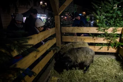 Pszczyński Jarmark Świąteczny Dzień 1 - 19.12.2025